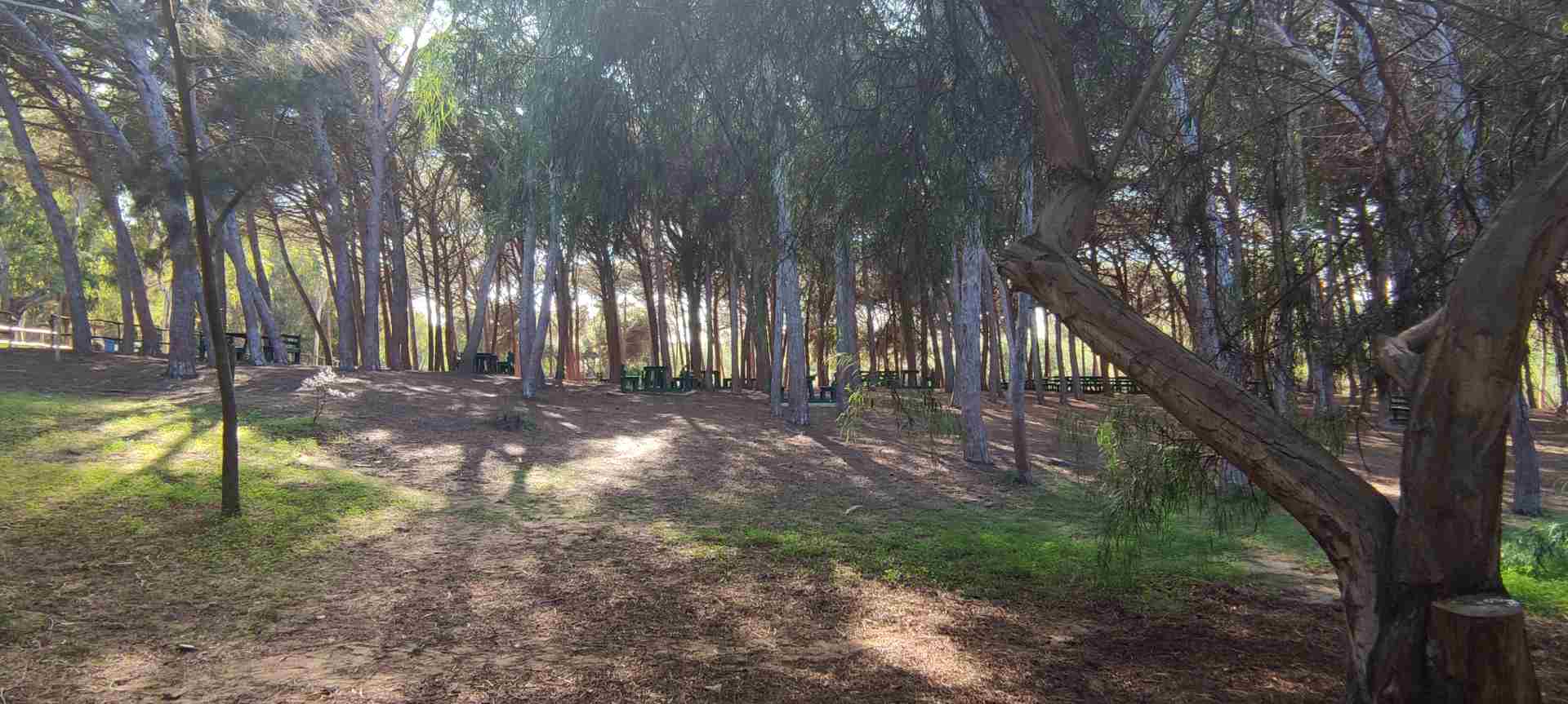 Riserva Naturale Randello Dreaming Sicily